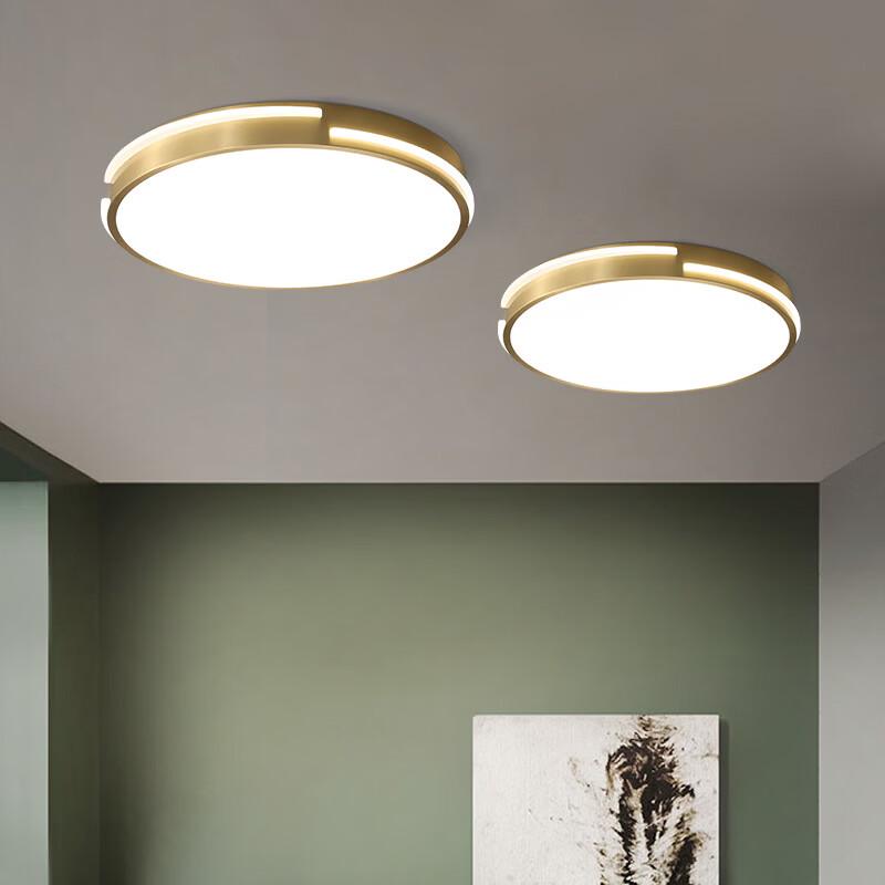 OEING Modern Gold LED Ceiling Light