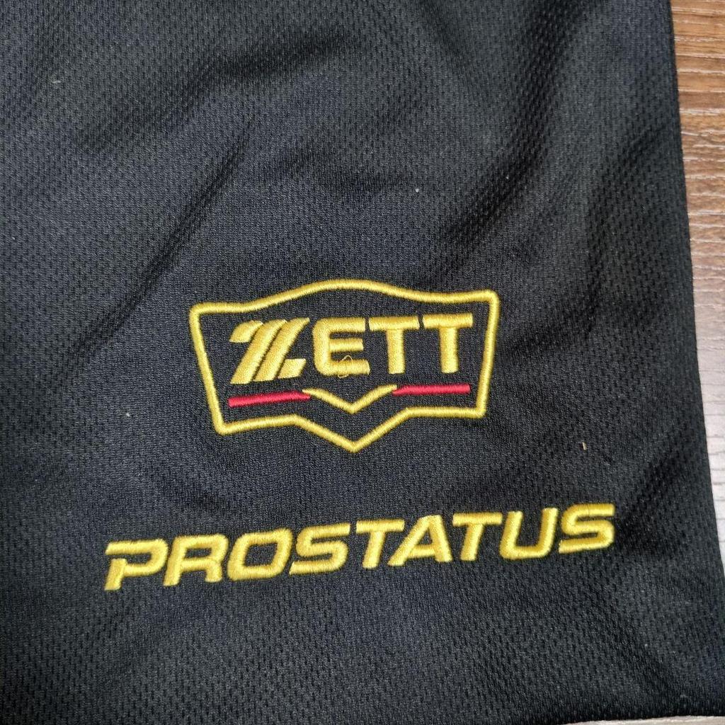 Used ZETT PROSTATUS Catcher's Mitt Hard Glove