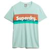 Superdry Terrain Logo Stripe Relxed Short Sleeve T-Shirt