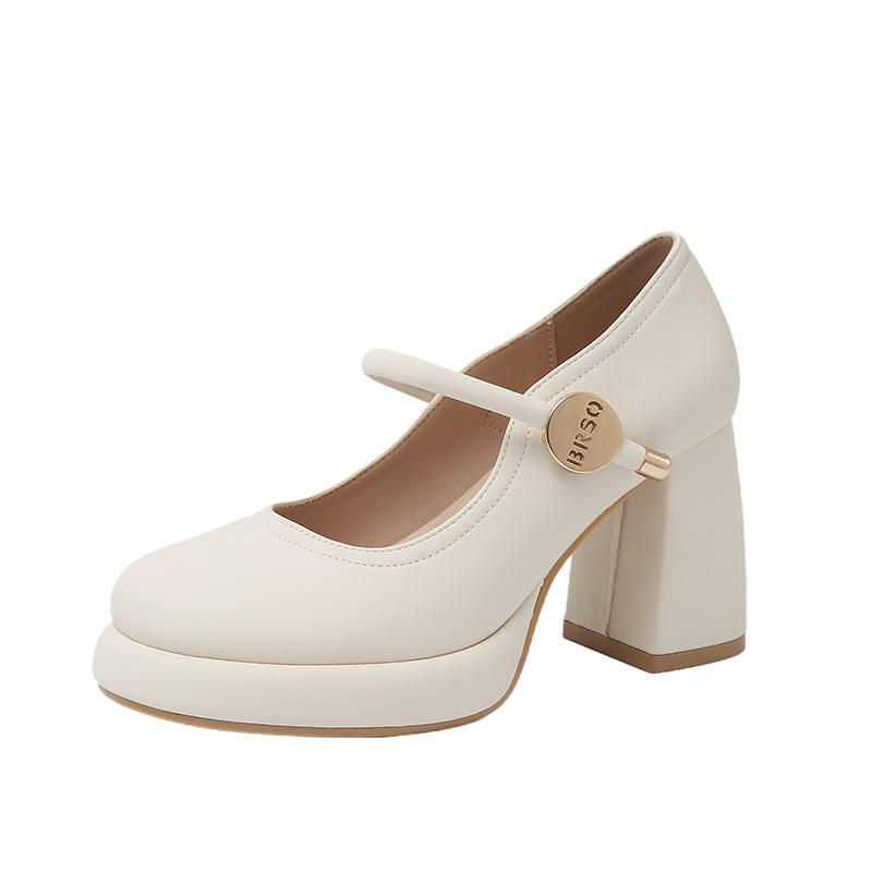 European and American evening breeze Mary Jane high heels women's versatile thick heel skirt spring 2025 new small leather shoes single shoes
