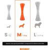 Jouet Pour Chien - BIONIC - Bâton Urban Stick - Taille Medium 23 Cm - En Caoutchouc Ultra Résistant - Sans Plomb, BPA Ni Phtalates