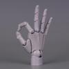 Mini 1/2 Scale Gashapon Palm Model: Super Movable Finger Joints - Left & Right Hands for Drawing & Sketching