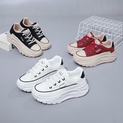 Thick-soled 22 New Autumn and Winter Leisure Sports Heightening Dad White Shoes Leather Muffin Summer