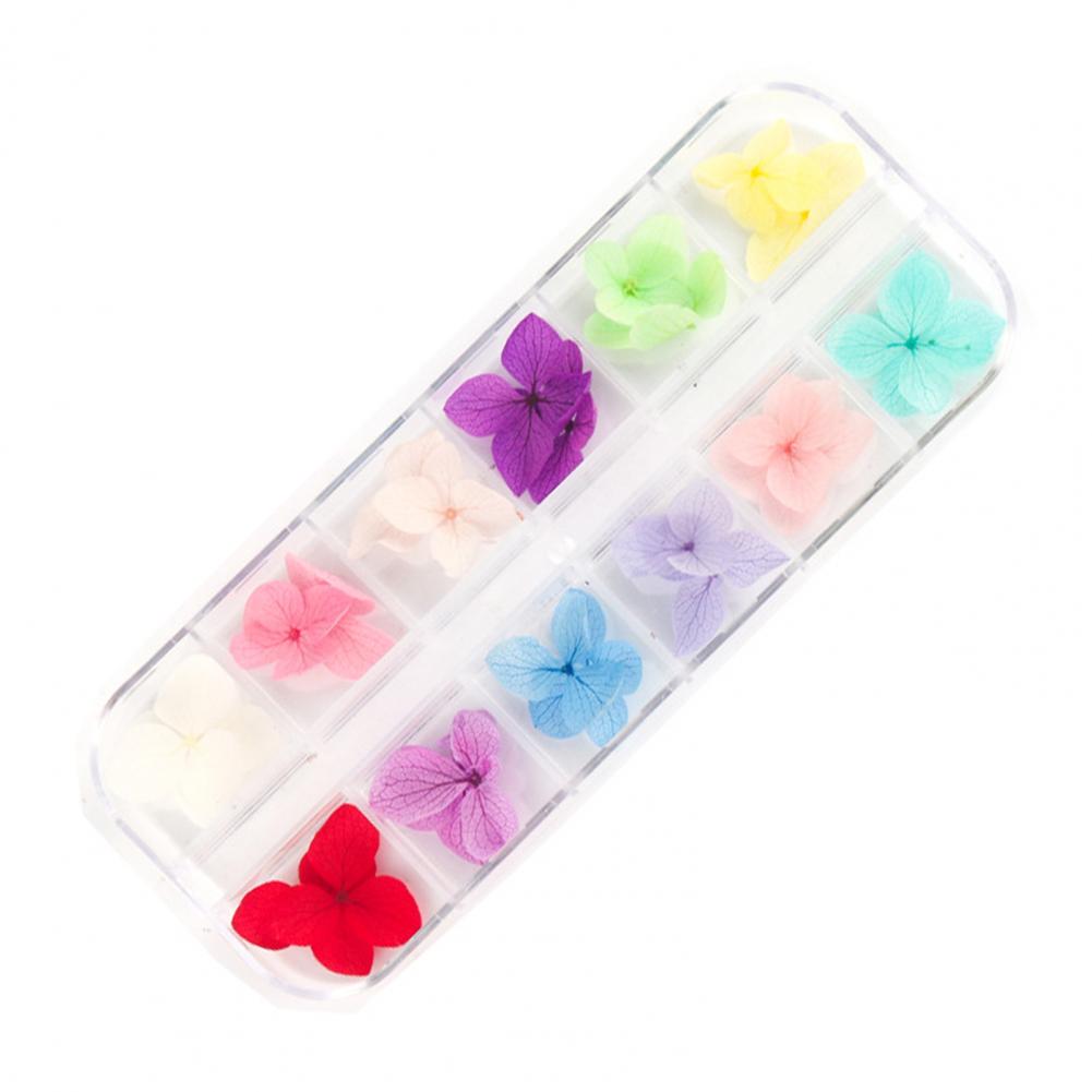 Dried Flower Nail Decoration Nail Art Accessories Vibrant Floral Nail Art Supplies 12 Colors of Natural Dried for Manicure