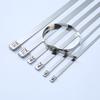 304 Stainless Steel Self-Locking Cable Ties, 4.6mm-19mm, Marine-Grade Tray Fasteners