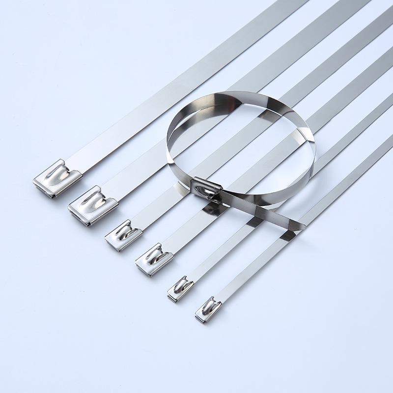 304 Stainless Steel Self-Locking Cable Ties, 4.6mm-19mm, Marine-Grade Tray Fasteners