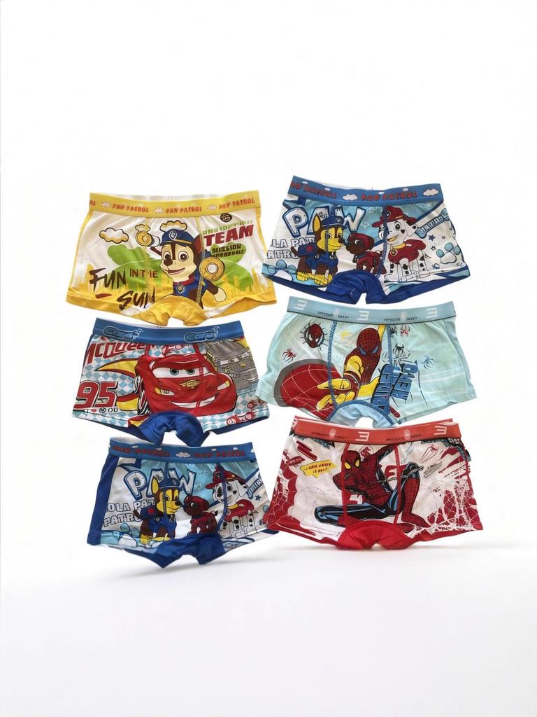 Paw Patrol Spinnenauto Aufdruck Jungen Flache Beine Unterwäsche - Kleine & Mittlere Kindergrößen