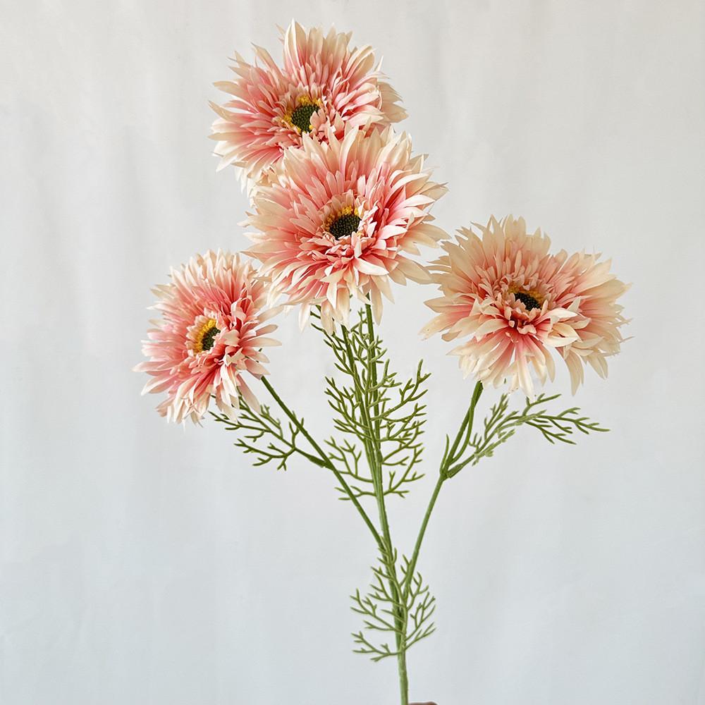 African Gerbera Jamesonii Bolus Wedding Decor For Home And Event Use