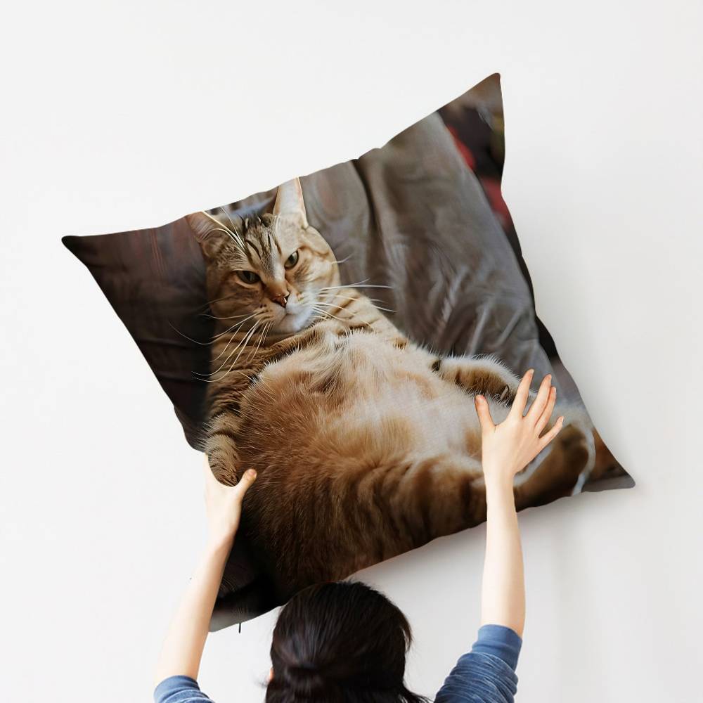 Cat Cute Kitten Stitch Lucky Dragon pillow cover sofa cushion cover home room decoration children gift