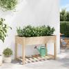 Garden Planter with Shelf Beige 115 x 59 x 76.5 cm