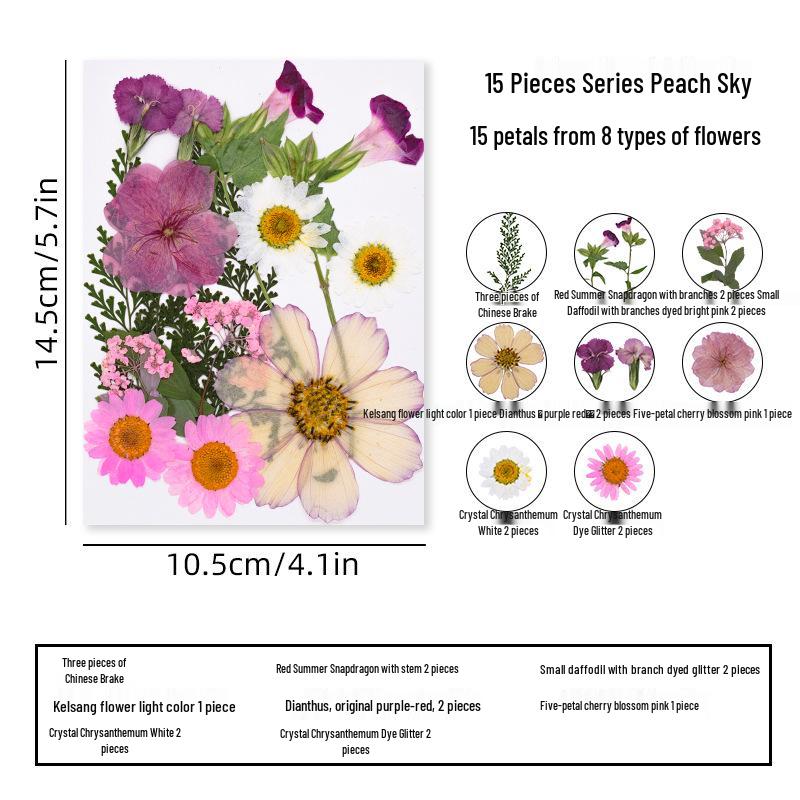 DIY Dried Flower Specimen Sticker Set for Kids: Handmade Pressed Flower Frames & Resin Bookmark Craft Kit