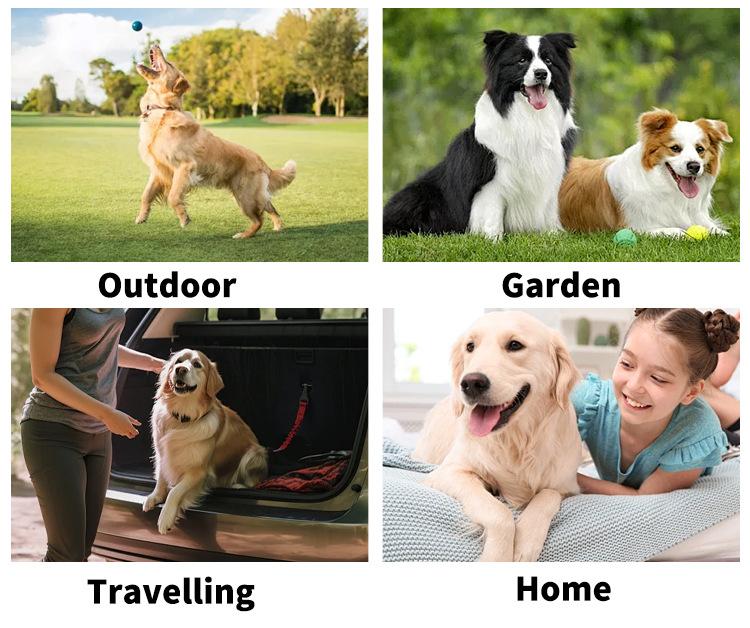 Cat Dog Bath Cleaning Dry Cleaning Disposable Wipes Gloves Pet Bath-free Gloves Deodorizing Pet Supplies