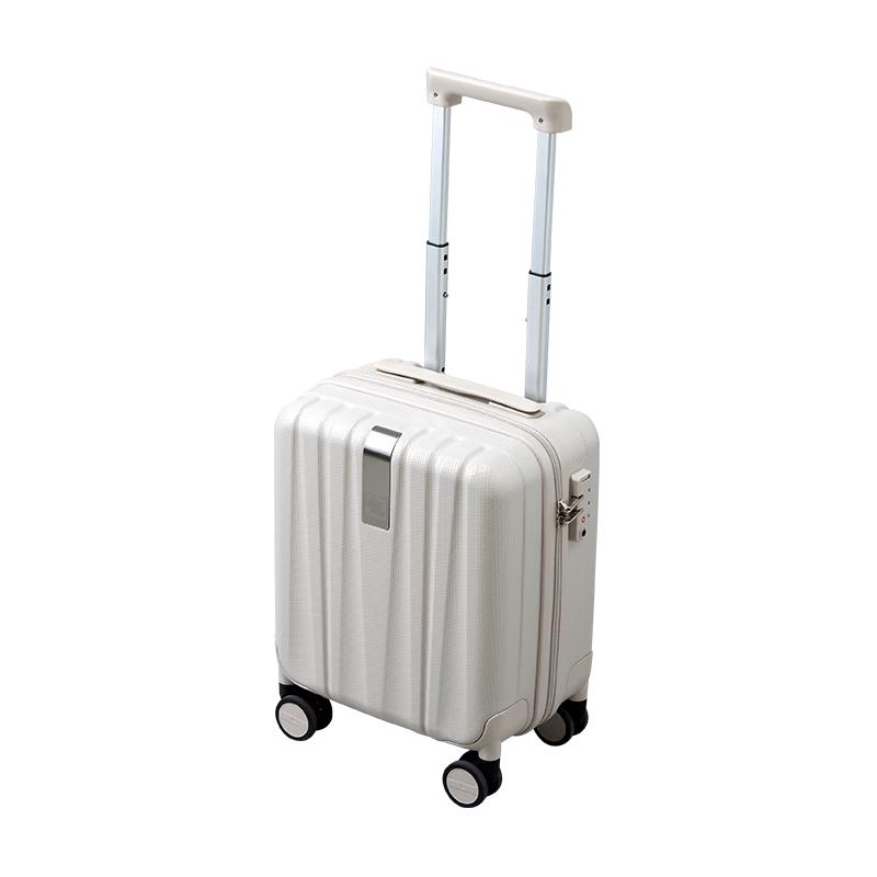 

Чемодан на колесиках Hank Hardside для ручной клади 14 inch (23L Carry-on)