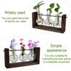 Hydroponic Vase Simple Decorative Glass Flower Vase Plant Terrarium with Wooden Stand