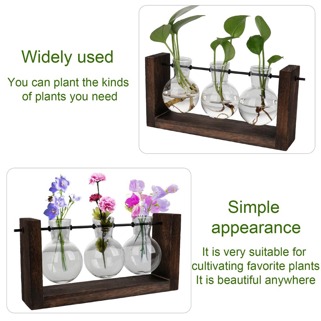 Hydroponic Vase Simple Decorative Glass Flower Vase Plant Terrarium with Wooden Stand