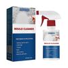Schimmelentferner Spray Decke Badezimmer Fliesenwand Mehrzweckreiniger Dekontamination und Schimmelentfernung Spray 60ml