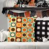 Fashion print stripe  Pillow Case Office Cushions Suitable For Sofa Car Bedroom Decorative Cushion Cover
