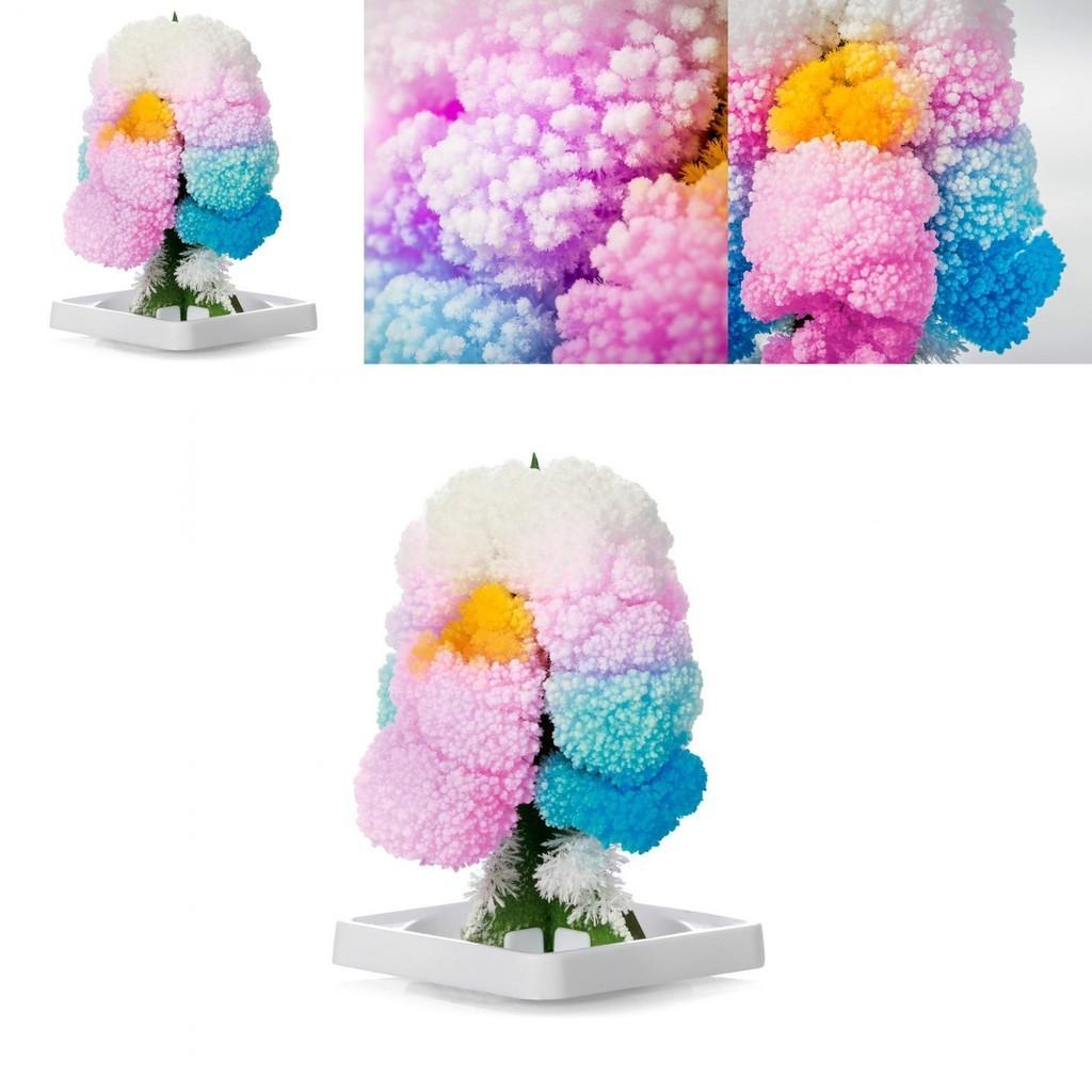 Paper Tree Magic Tree Amazing Flowering And Crystal Growing Toy For Kids