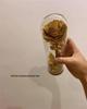 Ginkgo Leaf Plant Specimen - Pressed Flower Material for Handmade Projects & Desktop Decor