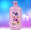 Rejoice Daily Care Feuchtigkeitsspendendes & Glättendes Shampoo, Orchideenduft, 1kg