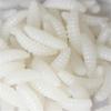 50Pcs Appâts Souples pour la Pêche aux Insectes de Pain Silicone Appâts Artificiels Appâts Artificiels Wobblers pour Jigging Appâts Vers de Terre