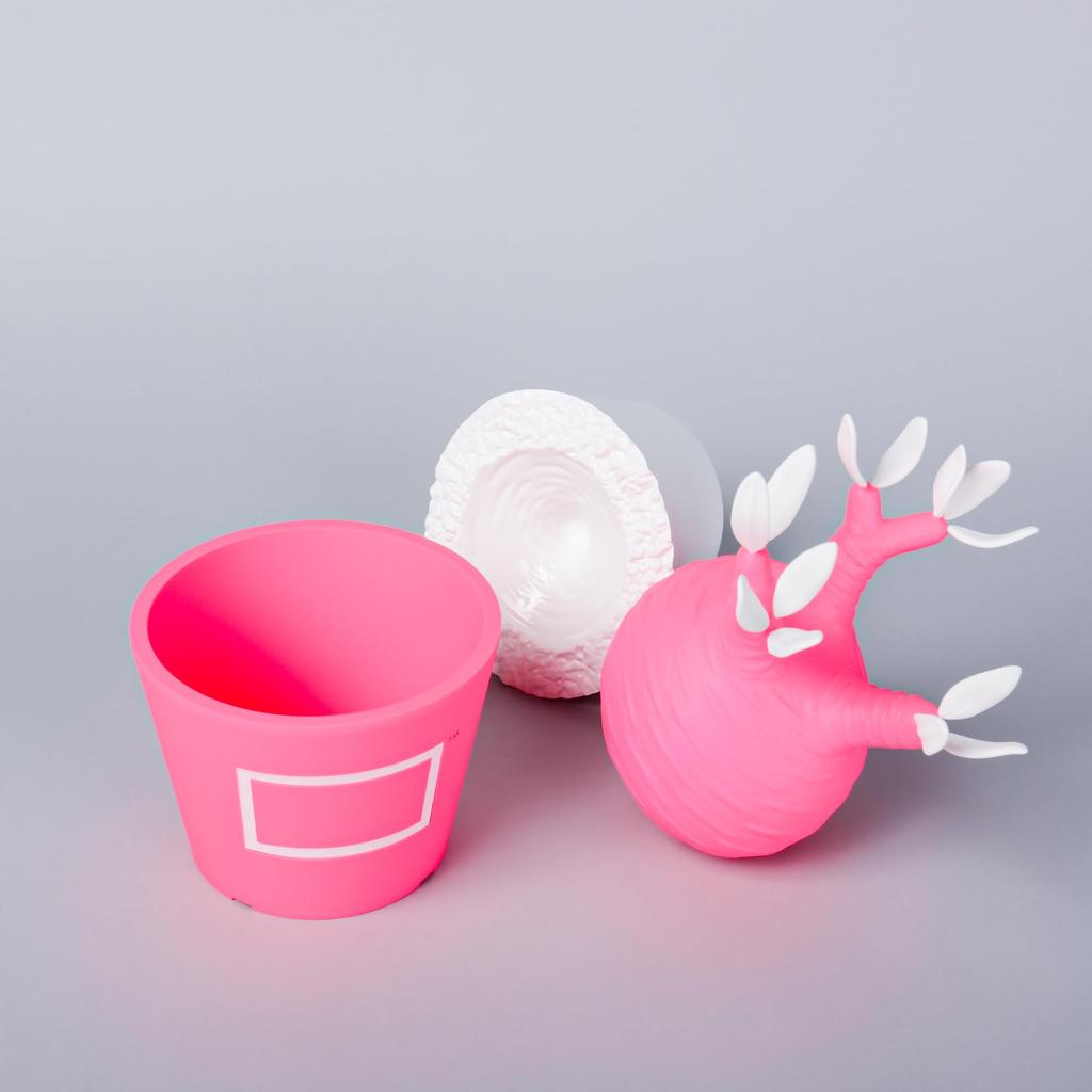 BOTANIZE X MEDICOM TOY Pachypodium Gracilis Figure Pink Pop Color American Goods Style Interior [Limited Sale] (Pink)