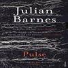 Pulse by Julian Barnes Paperback Book 9780099552475