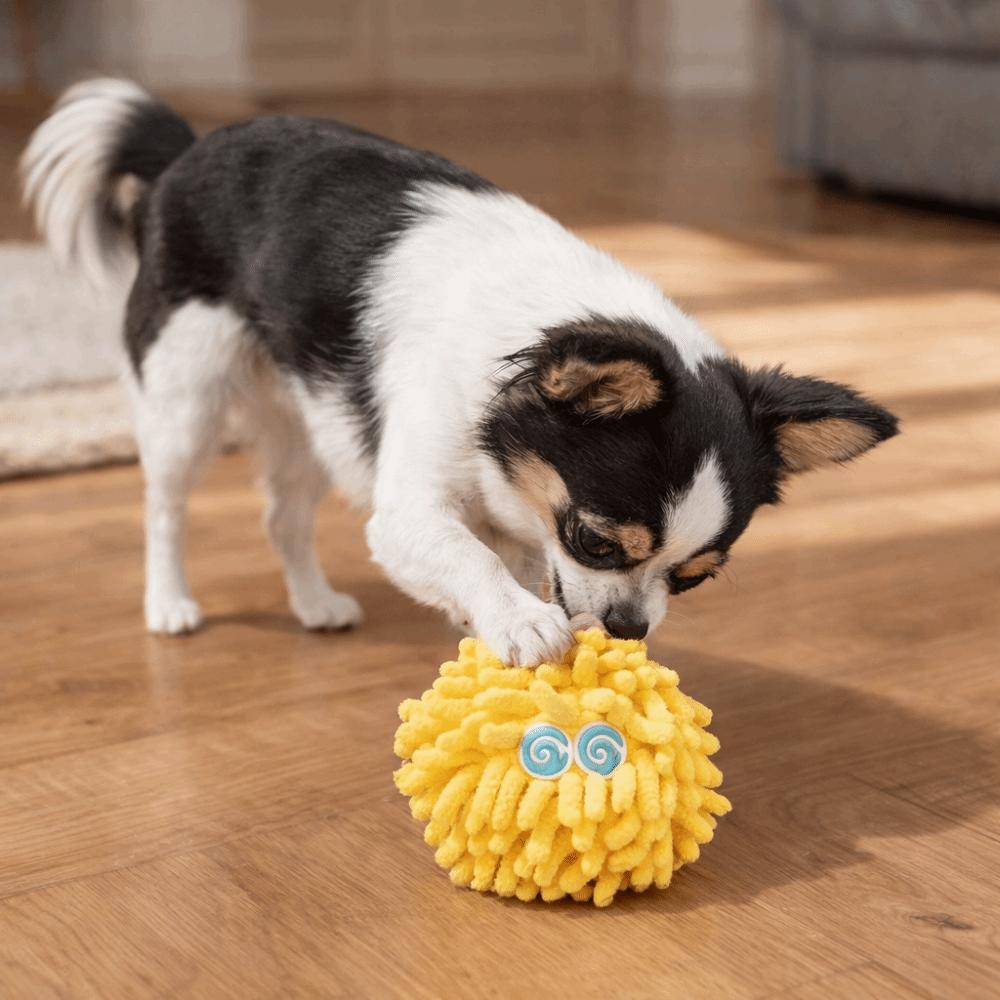 Bite-Resistant Pet Mop Ball Toys Glowing Pet Interactive Toys Teeth Grinding Toys Indoor Play