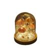 Sea Urchin Night Light Glass Cover DIY Kit – Team Building Souvenir or Birthday Gift