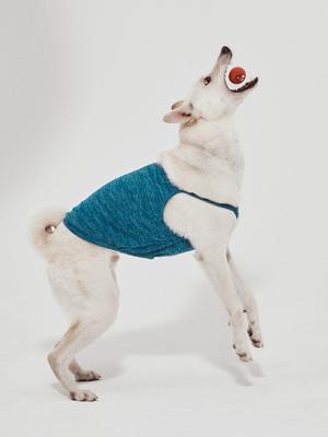 Arumaru Haustier Tanktop_Blau