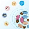 Puzzle game toy for dog cat Pluto the sea