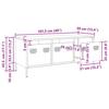 VidaXL TV Cabinet Black 101.5x39x43.5 Cm Cold-rolled Steel, TV Stand, TV Sideboard, Hi-fi Cabinet, TV Bench, Metal Cabinet, 851226