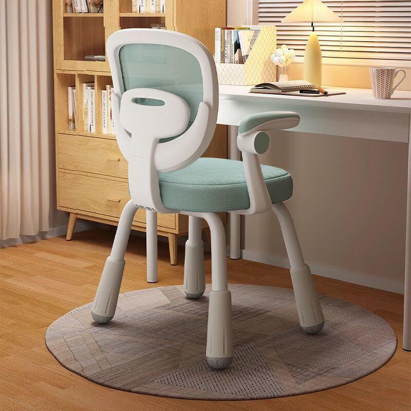 Children's Adjustable Ergonomic Study Chair