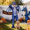 Ice Frost Dragon Cosplay Outfit For Children Made Of Polyester With Long Sleeves For Party Fun