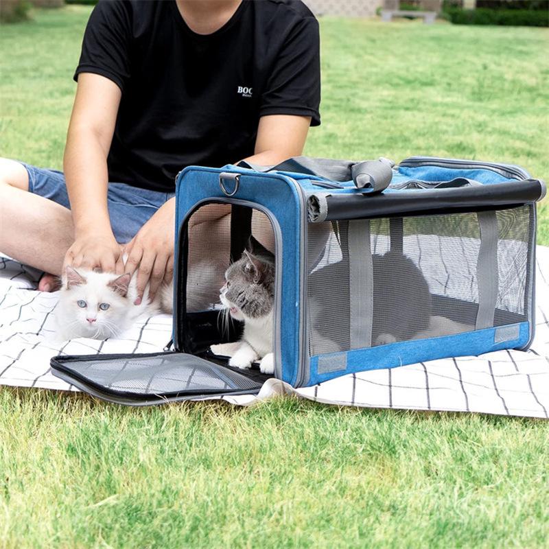 Large-Capacity Breathable Cat & Small Dog Outing Bag, Foldable & Portable Handheld Pet Carrier