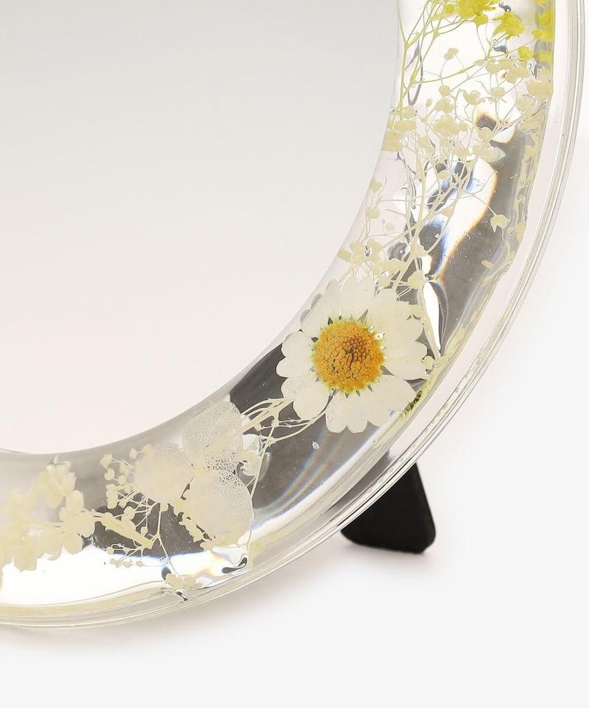 Afternoon Tea Living HR33 Botanical Mirror, Pink