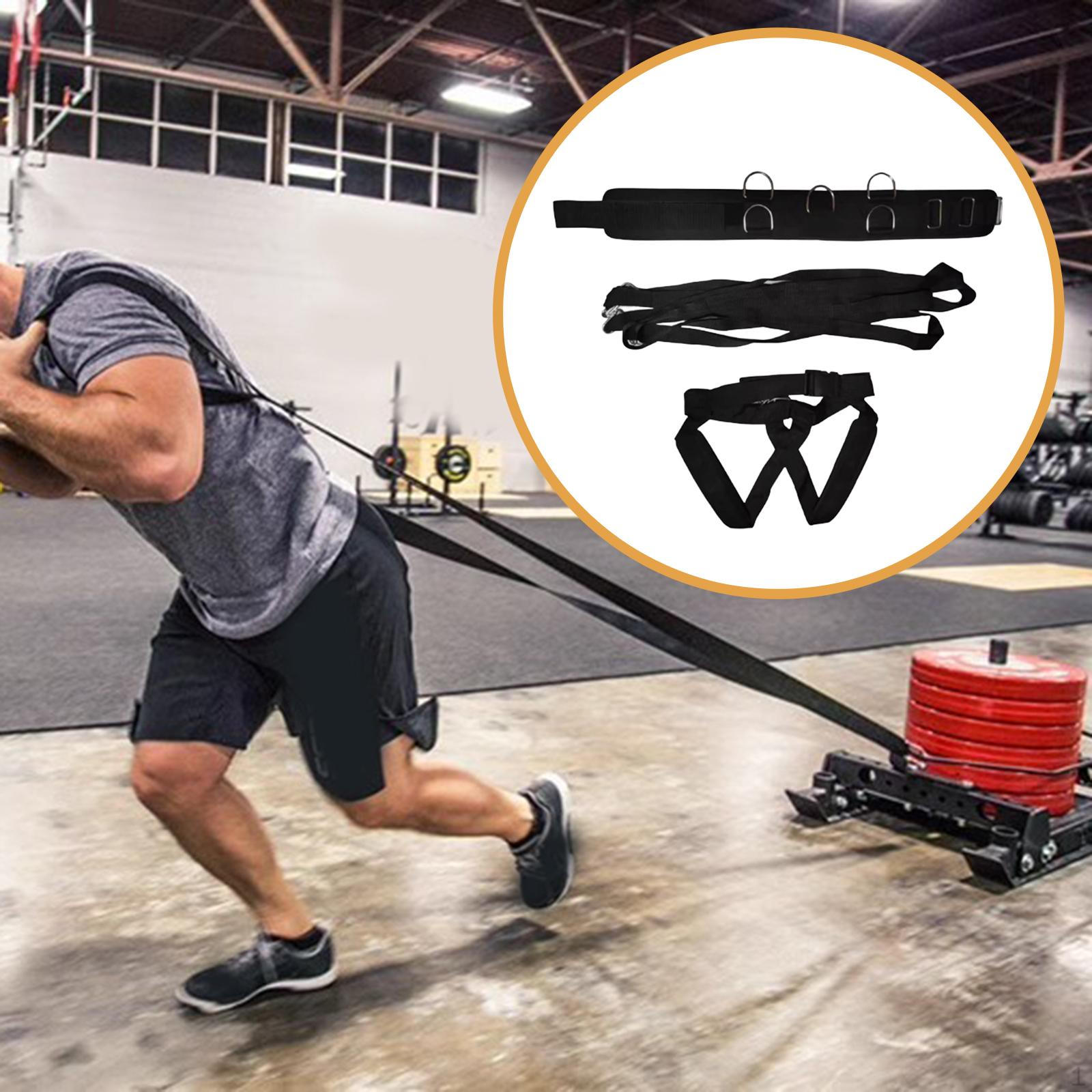 Weight Sled Pulling Straps Belt Black Adjustable Harness for Resistance Training Personal Studio