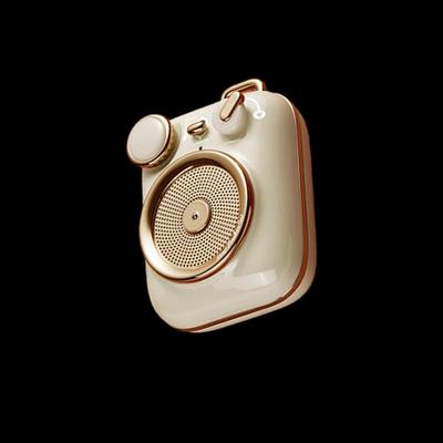 Audio & Video – Tragbare & Bluetooth-Lautsprecher