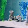 New Immerse Yourself In the Breathtaking, Serene, and Exquisite Beauty of This Vibrant Aquarium Coral Reef Decoration. Transform