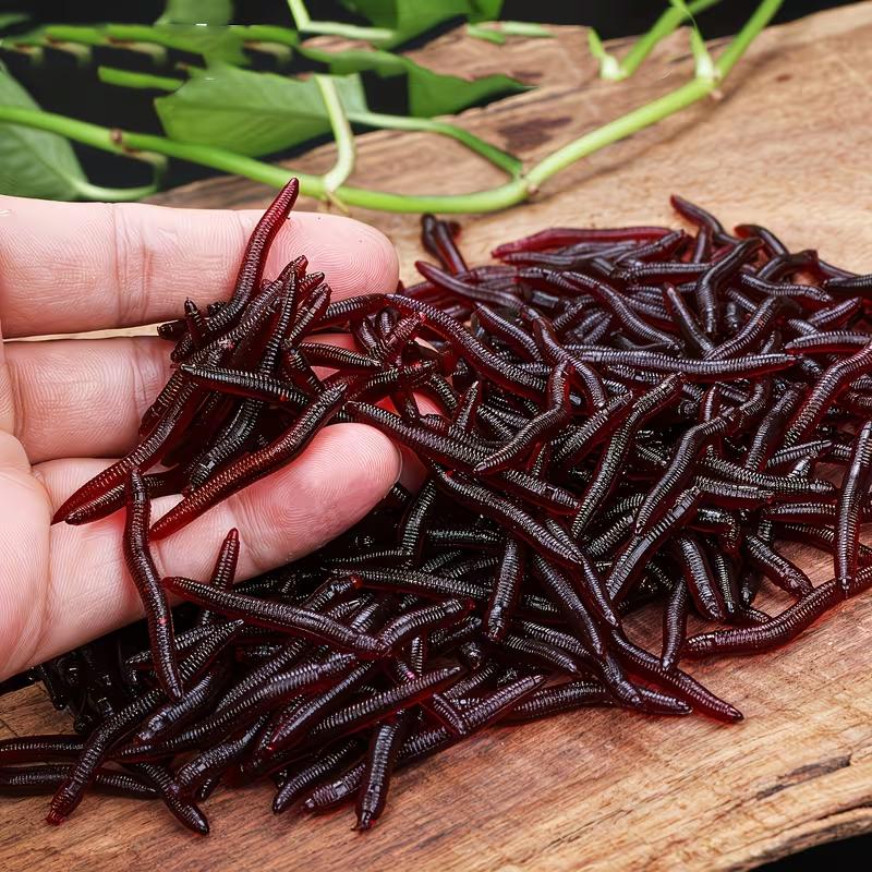 Gusanos de tierra Señuelos Blandos Gusano Rojo Blando Realista Señuelo de Pesca de Gusano de Tierra Cebo Artificial con Olor a Pescado Aditivo de Camarón para Lubina Carpa