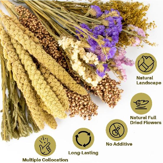 Sukh Natural Hamster Bedding Sprays - Foraging Habitat Decor Cage Accessories, Hideout Enrichment for Dwarf & Syrian Hamsters, Gerbils, Mice and