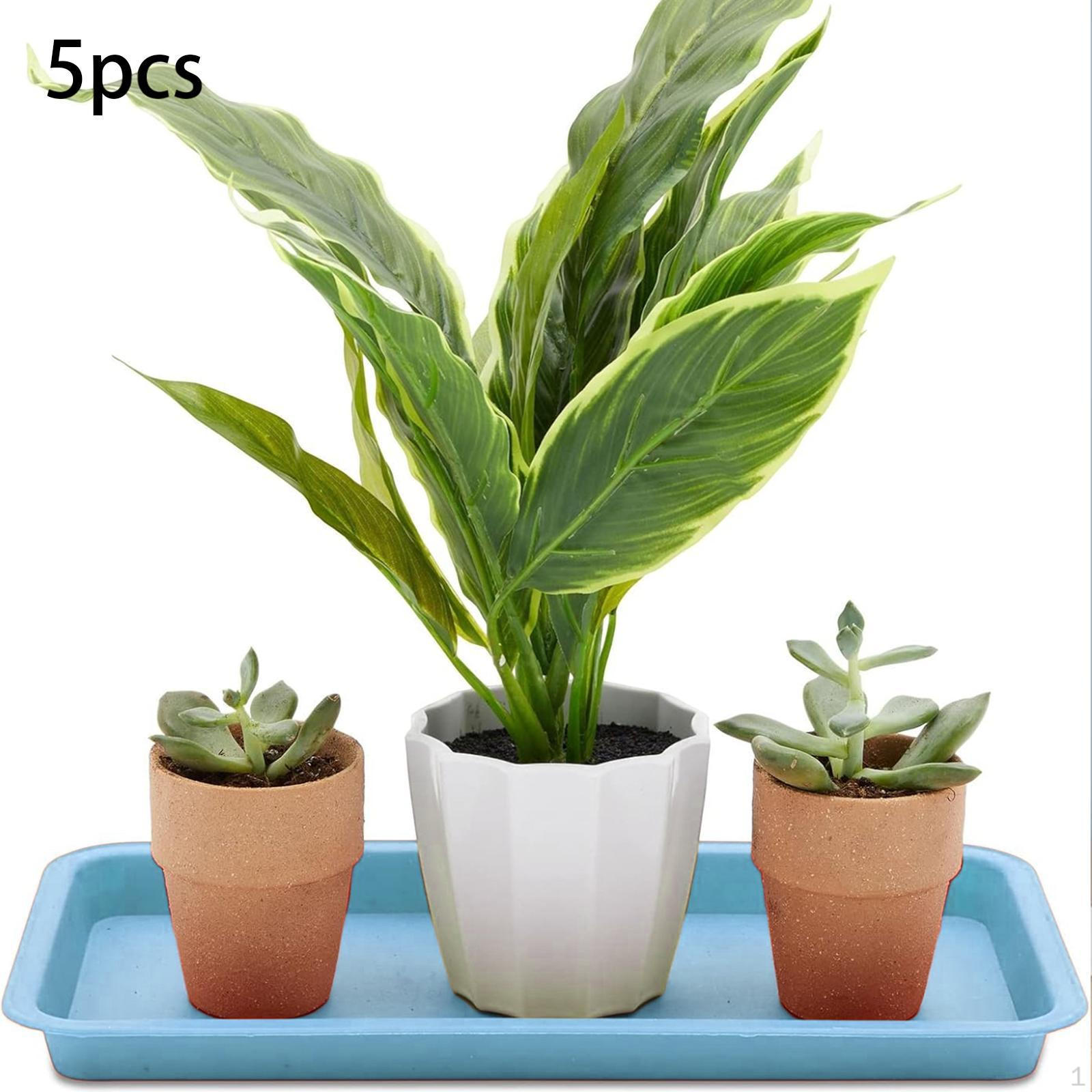 

5-кратные растительные подчашки, кожура, прямоугольные цветочные чаши, поддоны для цветочных горшков для сада синий