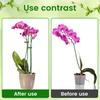 20/30Pcs Plant Supports Stakes Flower Stand Sticks Garden Single Stem Flower Support Stake Bonsai Fixing Tool Flower Grow Holder
