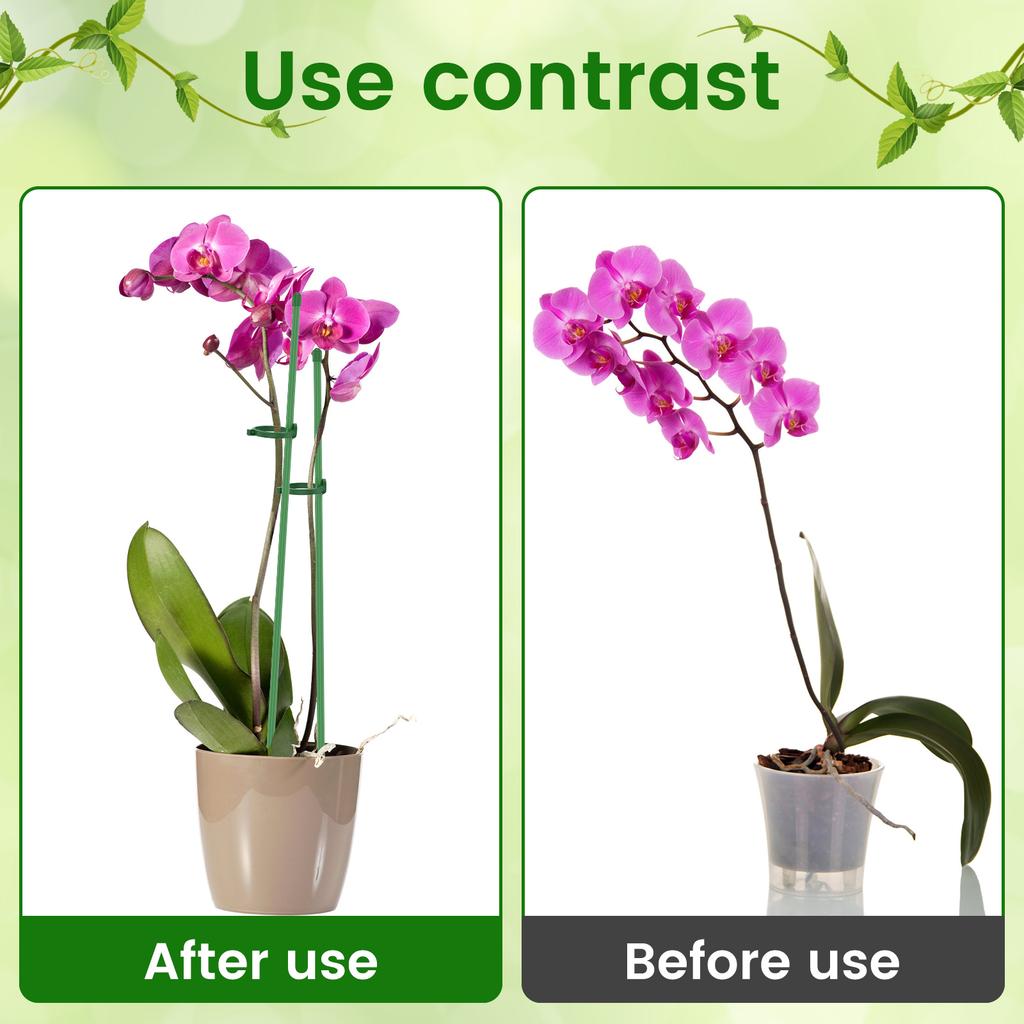 20/30Pcs Plant Supports Stakes Flower Stand Sticks Garden Single Stem Flower Support Stake Bonsai Fixing Tool Flower Grow Holder