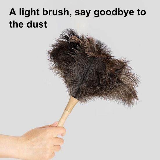 Extendable Ostrich Feather Duster Long Handle Rugged Design Telescopic Pole Duster Reusable