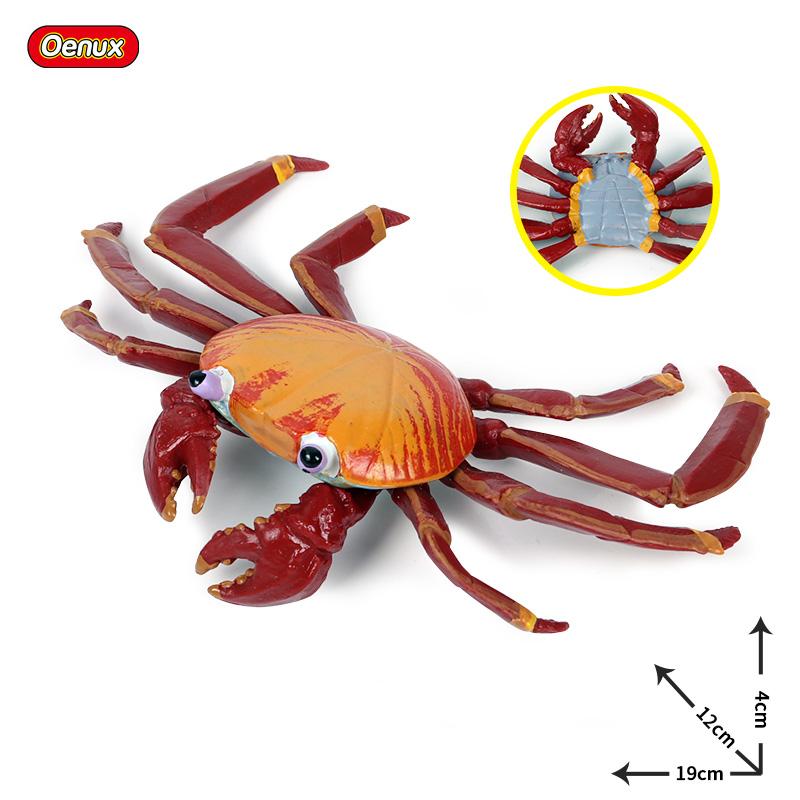 Oenux Ocean Animals Simulation Hermit Crab Nautiloidea Octopus Sea Life Model Figurines Action Figures Collection Kids Toy Gift