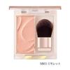 EXCEL - Seamless Tone Blush