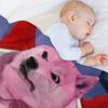 King Crimson Doge Throw Blanket sofa bed Hair Weighted Picnic Blankets