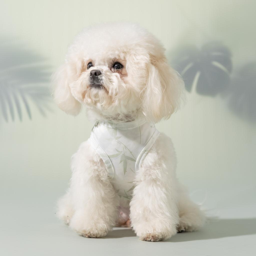 Spring and summer dog clothes full of bamboo forest small and medium-sized dogs than bears summer sleeveless cool clothes cooling pet clothes