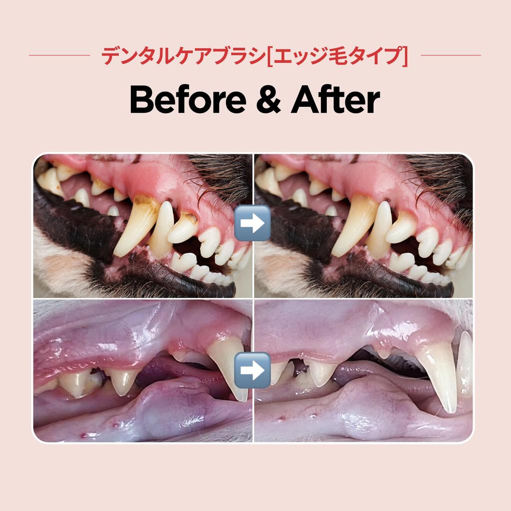 JAYU PET Periuță de dinți pentru îngrijire dentară Periuță de dinți moale pentru tartru și placă la pisici cap orizontal margine corp - îndepărtare, & curbă S (1, peri)